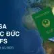 Xin visa du học Đức qua VFS