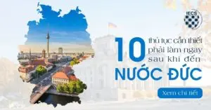 thủ tục cần thiết