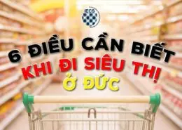 6 điều cần biết