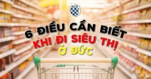 6 điều cần biết