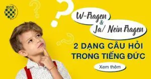 2 dạng câu hỏi trong tiếng đức