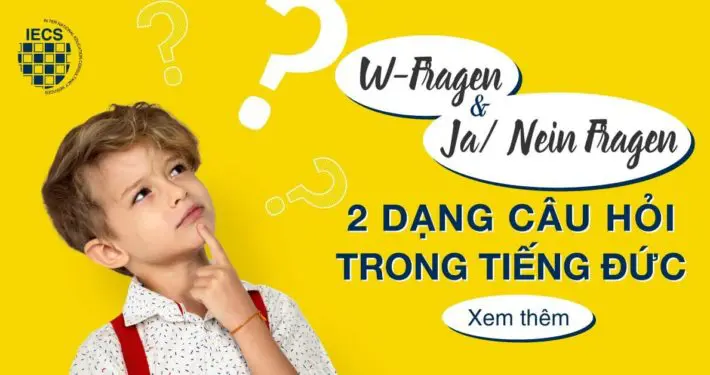 2 dạng câu hỏi trong tiếng đức