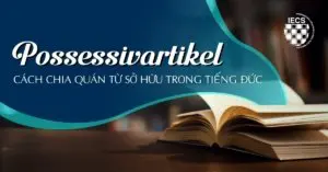 Possessivartikel - Cách chia quán từ sở hữu trong tiếng Đức