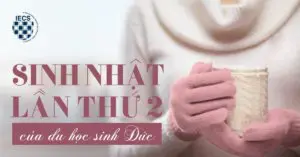 Sinh nhật lần thứ 2