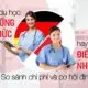 So sánh điều dưỡng Đức và điều dưỡng Nhật Bản