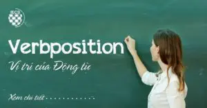 Vị trí của động từ