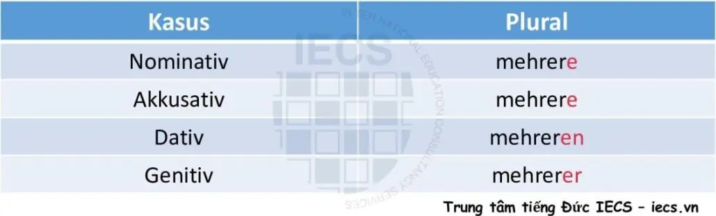 Đại từ bất định mehrer-