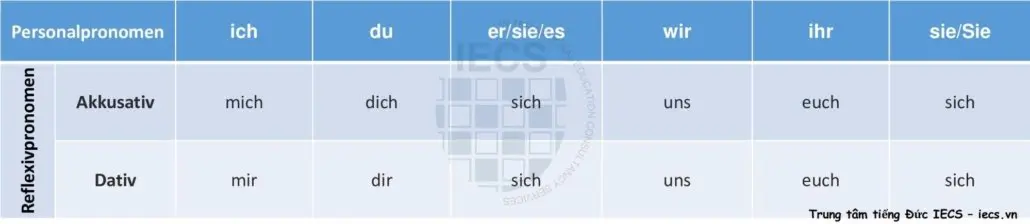 Đại từ phản thân