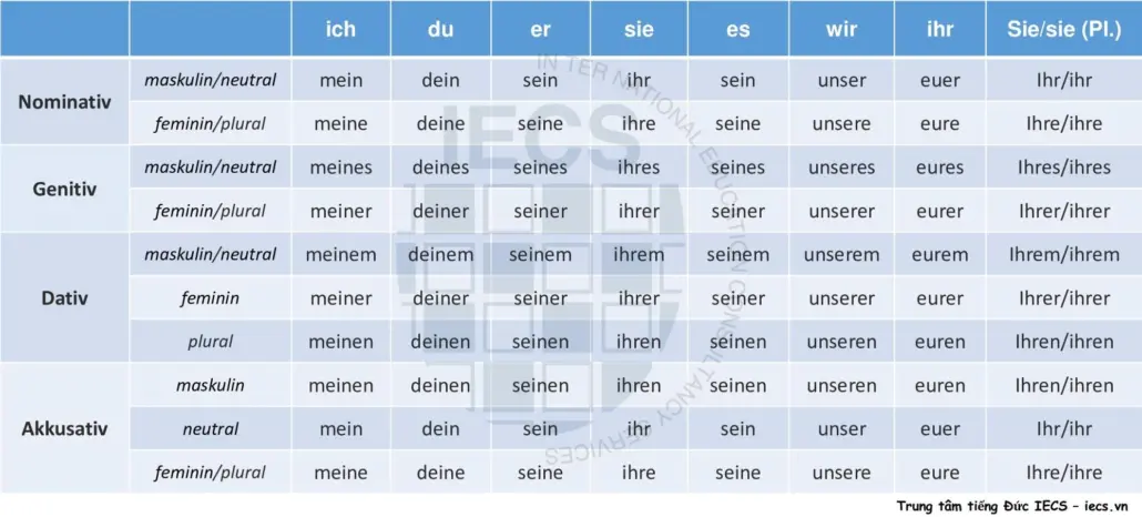 Đại từ sở hữu được sử dụng như một quán từ (Artikel)