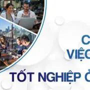 cơ hội việc làm sau tốt nghiệp cơ hội việc làm sau tốt nghiệp