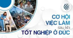 cơ hội việc làm sau tốt nghiệp