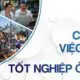 cơ hội việc làm sau tốt nghiệp