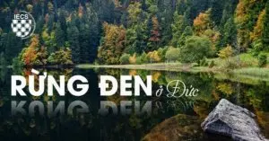 rừng đen ở Đức