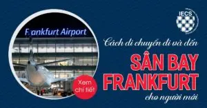 sân bay Frankfurt