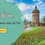 Mannheim Mannheim
