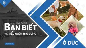 những điều bạn biết về việc nuồi thú cưng ở đức