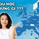 Đi du học cần những gì