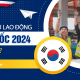 Xuất khẩu lao động Hàn Quốc 2024