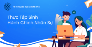 Thực Tập Sinh Hành Chính Nhân Sự