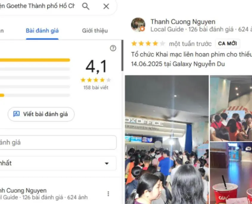 đánh giá goethe