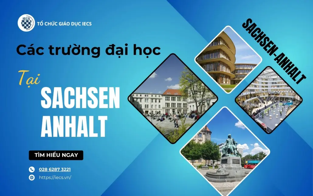 Trường đại học tại Sachsen-Anhalt