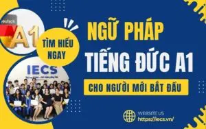 Hướng dẫn học Ngữ pháp tiếng Đức A1 cho người mới bắt đầu