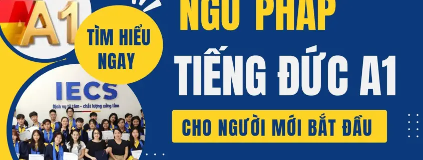 Hướng dẫn học Ngữ pháp tiếng Đức A1 cho người mới bắt đầu