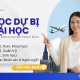 Học Dự Bị Đại Học Đức