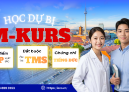 Học dự bị M-Kurs tại Đức