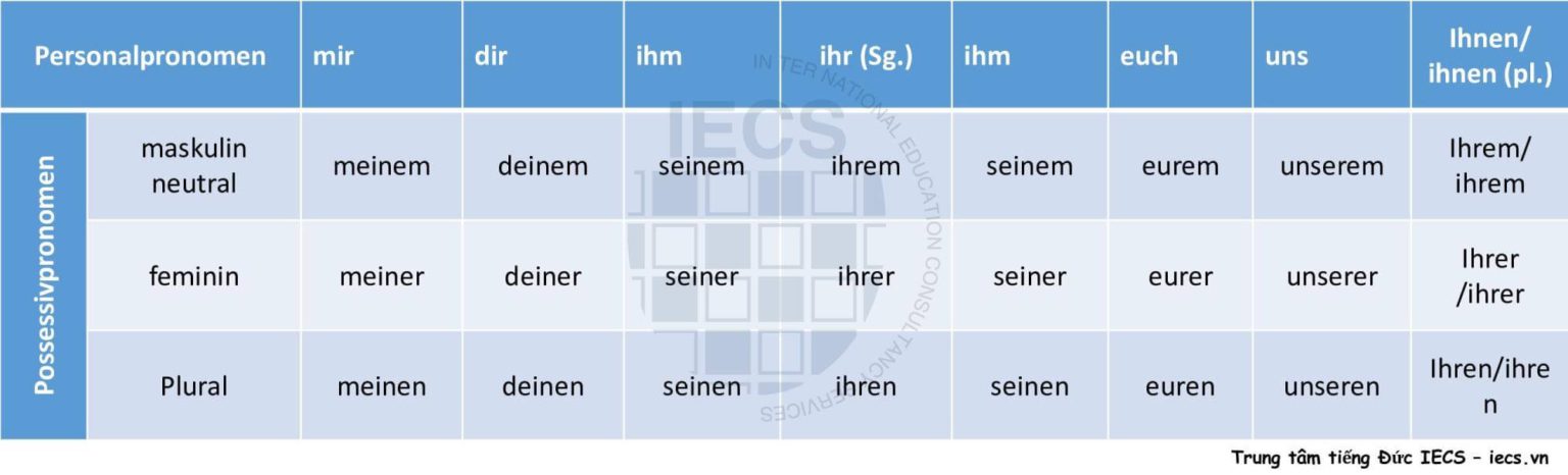 Kasus - 4 biến cách trong tiếng Đức - Tổ chức giáo dục IECS