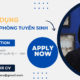 Trưởng phòng tuyển sinh