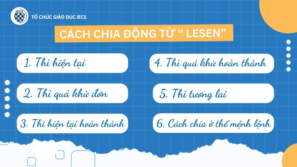 cách chia động đọc bài viết