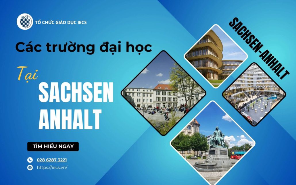 Trường đại học tại Sachsen-Anhalt