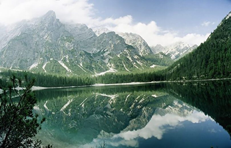 Rừng Đen (Black Forest)