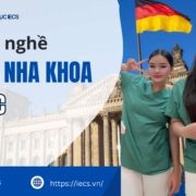 Du học nghề Trợ lí nha khoa tại Đức